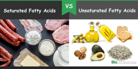 Difference Between Saturated and Unsaturated Fatty Acids – Bio Differences